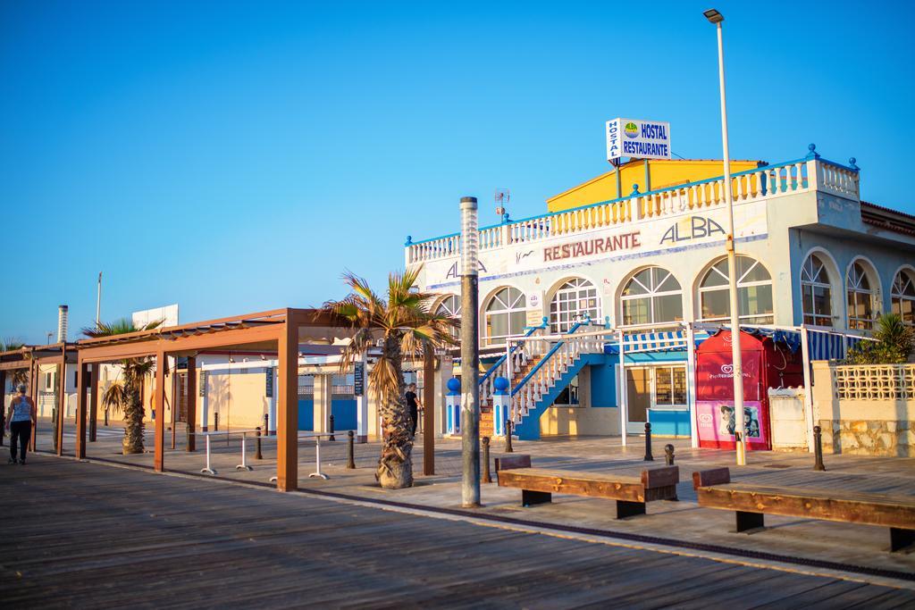 Alba Pensión La Mata (Torrevieja)